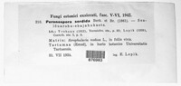 Image Associated With the Occurence